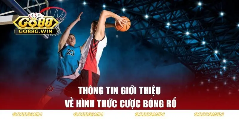 Thông tin giới thiệu về hình thức cược bóng rổ